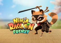 Ninja Raccoon Frenzy